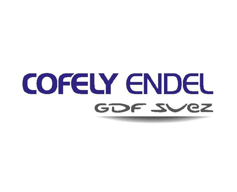 Logo Cofely Endel